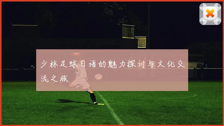 少林足球日语的魅力探讨与文化交流之旅