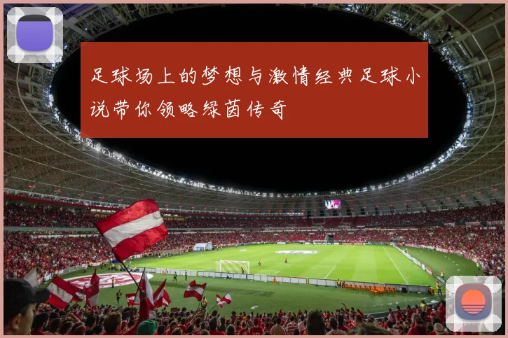 足球场上的梦想与激情经典足球小说带你领略绿茵传奇