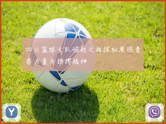 四川篮球女队崛起之路探秘展现青春力量与拼搏精神