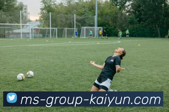 官方登录发展历程